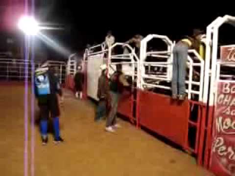 Natanael Rocha X modelo