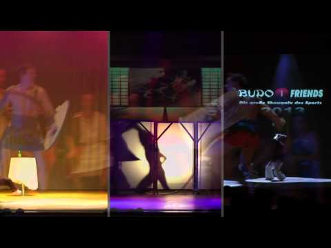Budo meets Friends 2013 (Showreel)