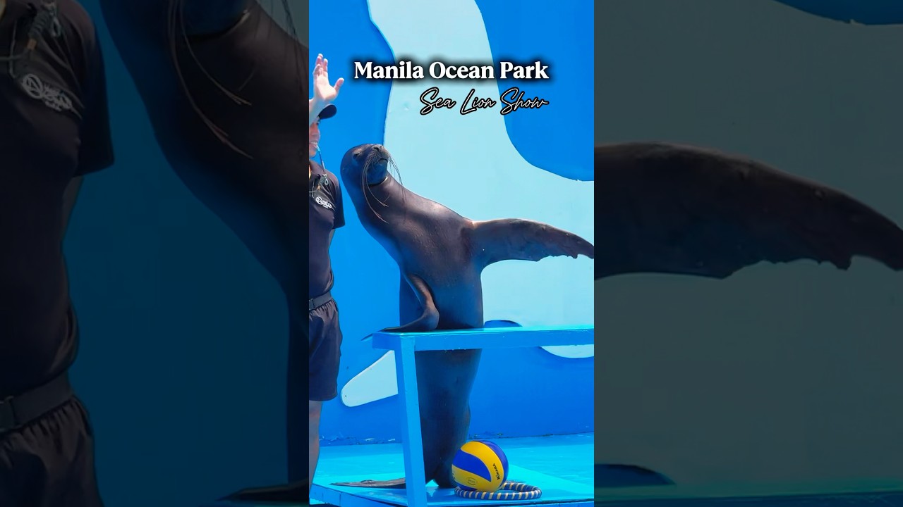 YouTube Short thumbnail