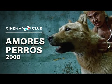 Amores Perros (2000) - Alejandro G. Iñarritu | Session #70