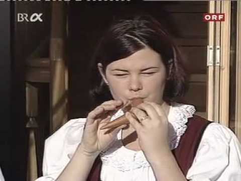 Pinzgauer Geschwistermusi