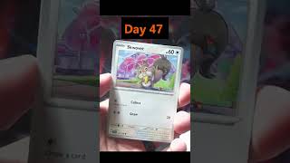 Pack A Day 47!