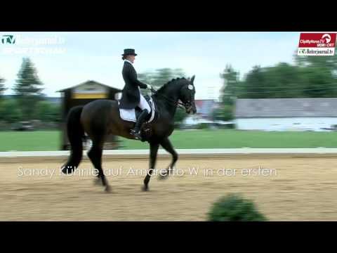 Reiterjournal SPORTSCHAU: Legelshurst - Babenhausen - Württembergische Meisterschaften Heidenheim