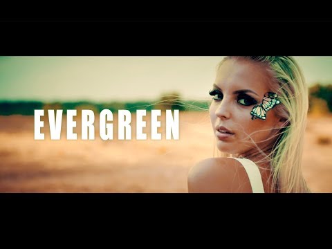 Wasted Penguinz - Evergreen (Official Videoclip)
