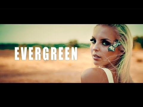 Video thumbnail for Evergreen