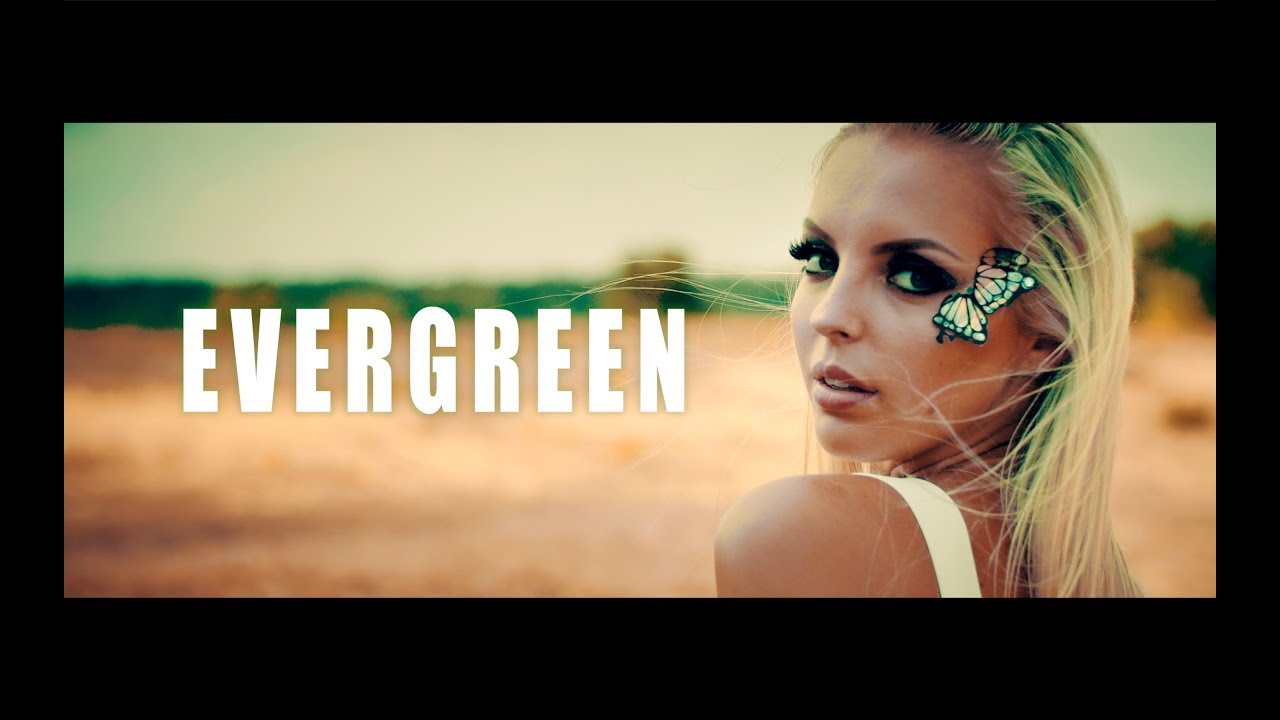 Wasted Penguinz — Evergreen