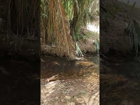 indo para poço azul em monsenhor gil