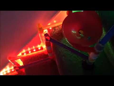 Quercetti Migoga and Skyrail Marble run down the stairs 3 (40 Marbles)