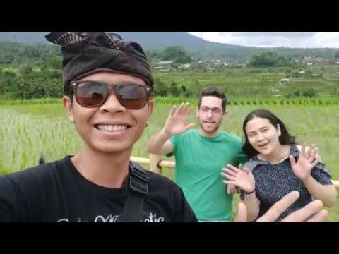 Jatiluwih the Rice Terrace Bali: Place with a UNESCO Recognized Rice Field Irrigation System