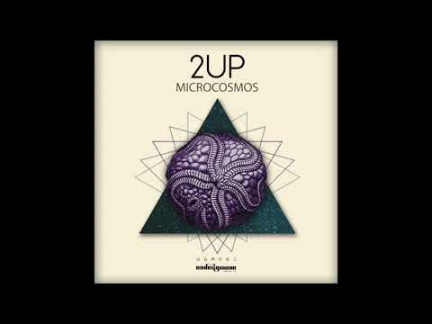 2UP - MICROCOSMOS (Original Mix)