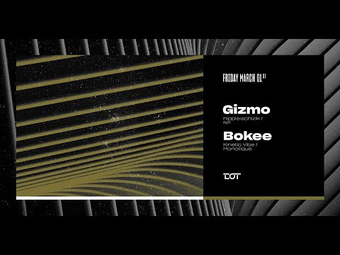Bokee b2b Gizmo @ Retrogressive Party, DOT Belgrade 01.03.2019.