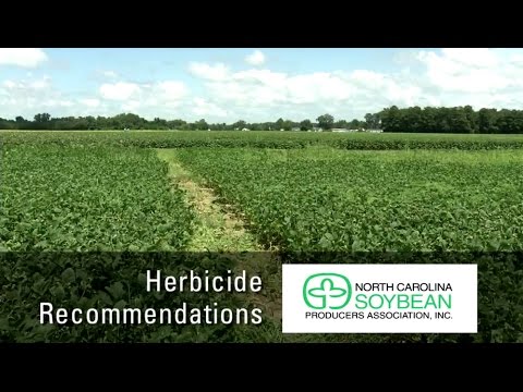 Herbicide Recommendations for NC Soybeans