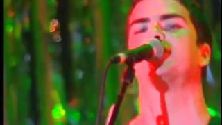 Stereophonics   Carrot cake and wine   Live At Cardiff Castle '98