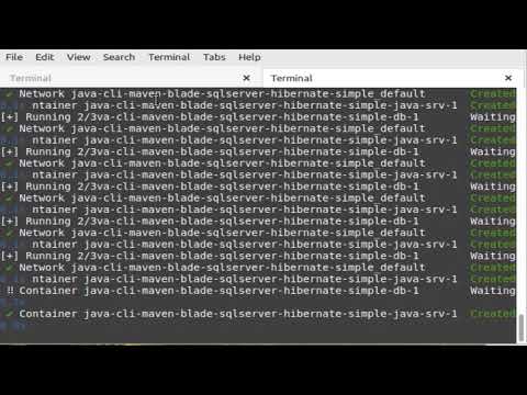 Programming Java Maven Blade Hibernate Sqlserver Api