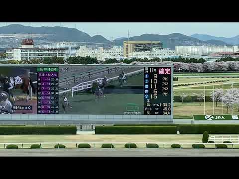 中山グランドジャンプ(G1)  阪神競馬場スタンド