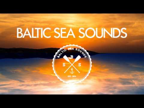 KlangTherapeuten & Freiboitar ft. Ladybird - That Thing