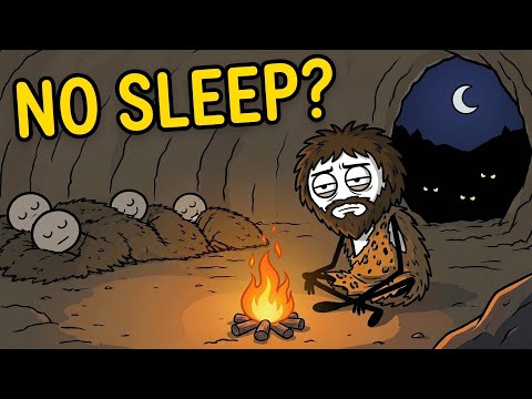 What Did Ancient Humans Do At Night?