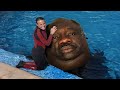 999% LOSE Try Not to LAUGH Challenge IMPOSSIBLE CLEAN Dank Memes Compilation 2020 TreyJam 999% LOSE Try Not to LAUGH Challenge IMPOSSIBLE CLEAN Dank Memes Compilation 2020 TreyJam