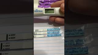 SUPER POSITIVE OVULATION TEST!! Cycle day 16! #shorts