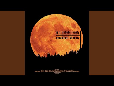 Moonlight Shadow (M.P.G. Remix)