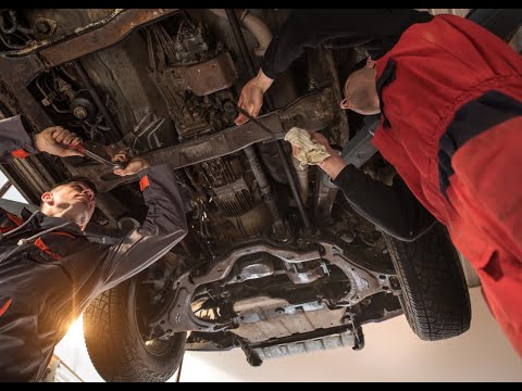 Zobacz filmy, Procar Roman Pytel, Gdynia