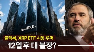 블랙록 XRP ETF 시동 루머, 12일 후 대 불장 반등?