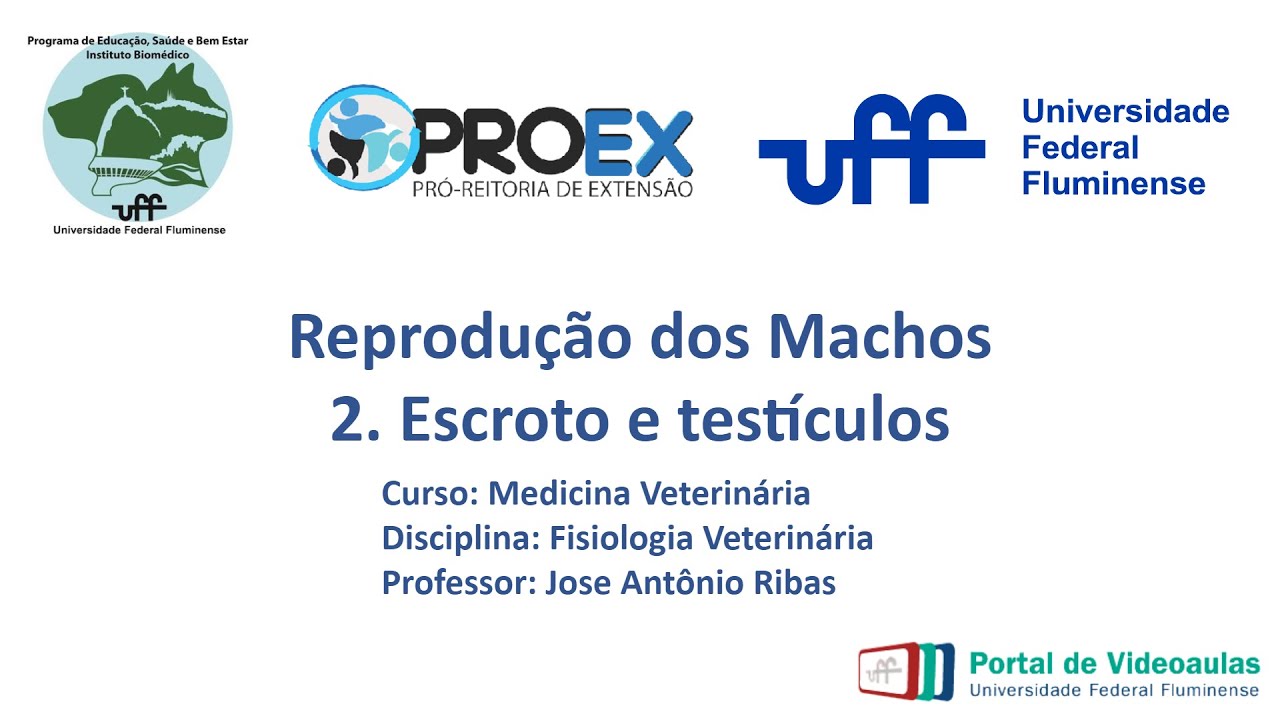Reprodução Machos - 2. Escroto e testículos