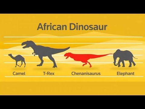 Découverte des restes d'un dinosaure au Maroc