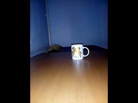 Caminul bantuit din Anghel Saligny