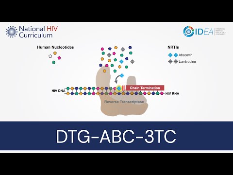 Abec l abacavir lamivudine tablets ip, 300 mg