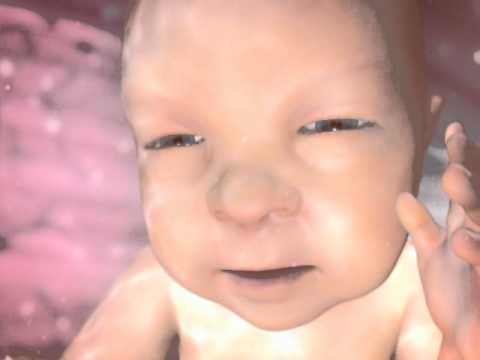 Pregnancy: Weeks 28-37 | BabyCenter Video in Spanish