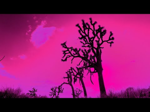 Groovecatcher - Shifting Skies (Official Music Video) #groovecatcher #electronicmusic #chill