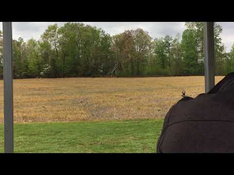 Chico firing Craig’s custom Mosin Nagant