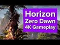 Horizon Zero Dawn PS4 Pro gameplay (4K footage)