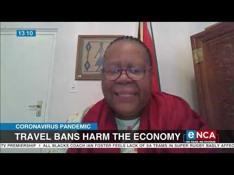 Travel bans harm the economy, says Pandor
