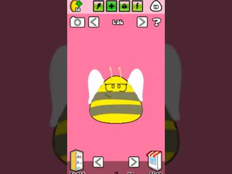 pou 🐝 ?