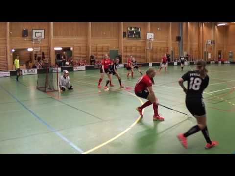 Cup Ibf Hedemora 01/02- Ibk Köping