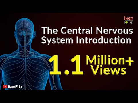 The Central Nervous System- Introduction | iKen | iKen Edu | iKen App