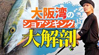 【ショアジギング】青物を釣りまくる男、金井光輝に今シーズンの大阪湾について聞いてみた – 2023年の傾向と対策 – /南港/北港/岸和田/泉南