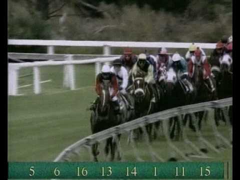 Horse Chestnut - A Champion Emerges Part 04