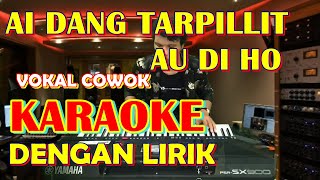 Download lagu KARAOKE AI DANG TARPILLIT AU DI HO - Ciptaan Nurcahaya Manurung mp3