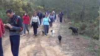 preview picture of video 'QUEDADA CANINA EN AYÓDAR (castellón)'