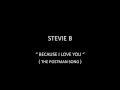 STEVIE B - BECAUSE I LOVE YOU    ( THE POSTMAN SONG )