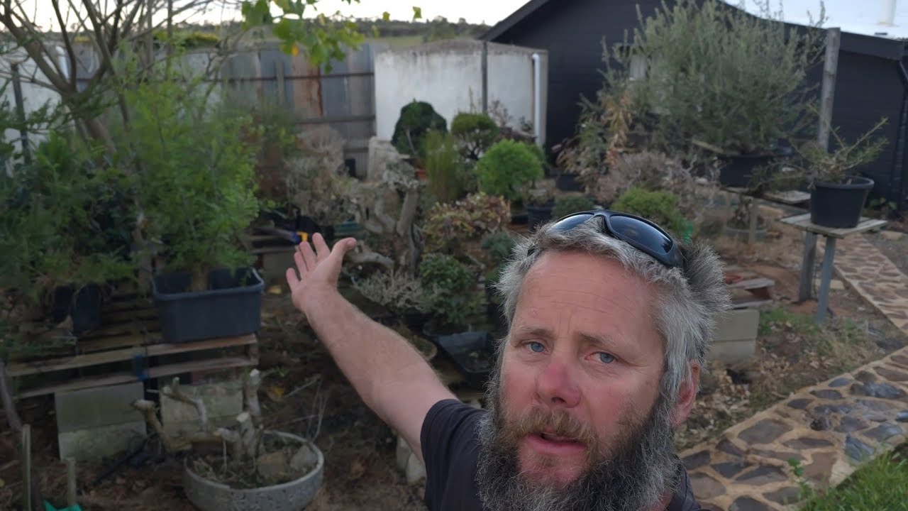 Spring bonsai benches tour Take 2 with Aussie Bonsai Bloke