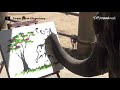 Painting Elephants Suda And Pangkwan ️