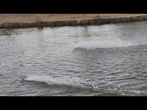 Having fun with the RC Boats. Thanks for watching.  Happy RCing.