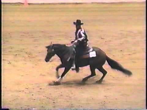 Shawn Flarida - Docs Brilliant Son