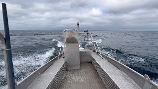 Купить лодку Aspö 6m - Изображение 4 | Autoline TJ Лодка Aspö 6m | Изображение 4 - Autoline
