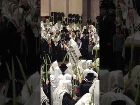 Hoshana Rabbah in Bobov 5777