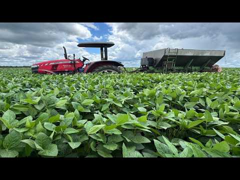 🌾🚜 FAZENDA À VENDA – SANTA RITA DO TOCANTINS/TO